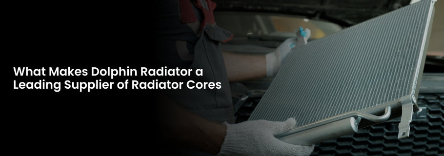 What Makes Dolphin Radiator a Leading Supplier of Radiator Cores
